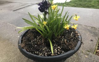 Sympathy Basket for Rick