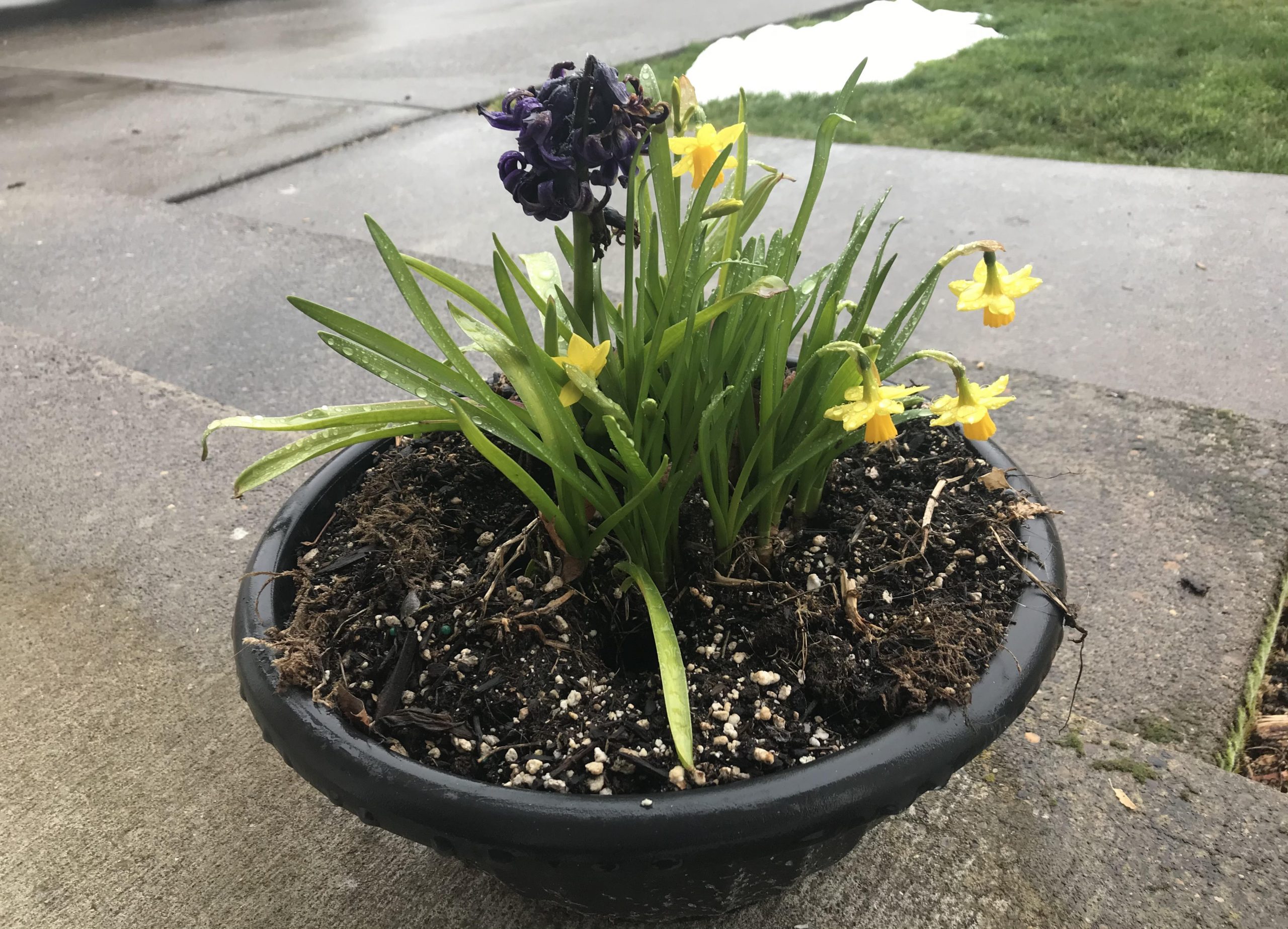 Sympathy Basket for Rick