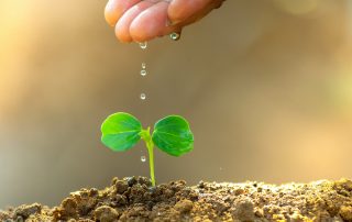 Abuse Resources Julie Bonn Blank