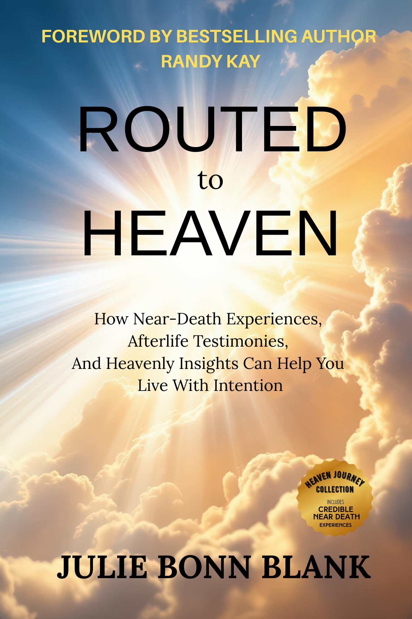 Routed to Heaven, near death experiences by Julie Bonn Blank