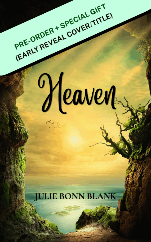 Heaven Book, Julie Bonn Blank pre-order